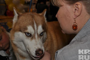 � ����� ������ ��������� ������������� �������� �����